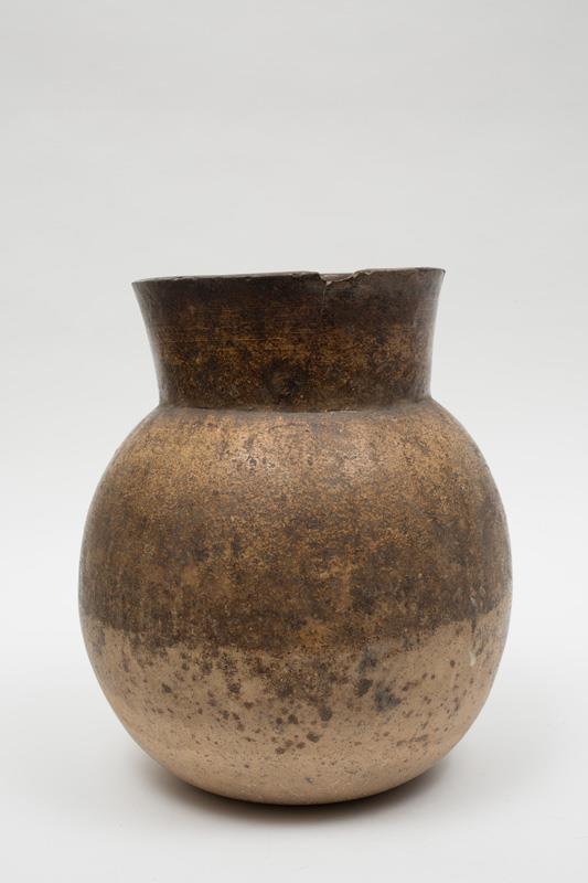  Cr�ditos: Thales Leite