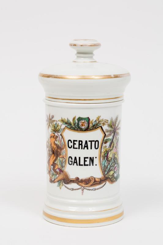  Cr�ditos: Thales Leite