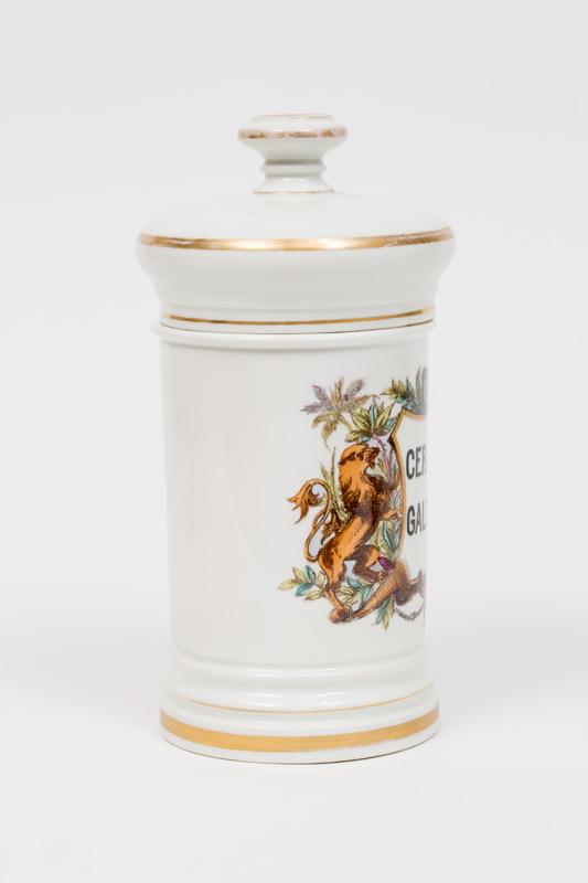  Cr�ditos: Thales Leite