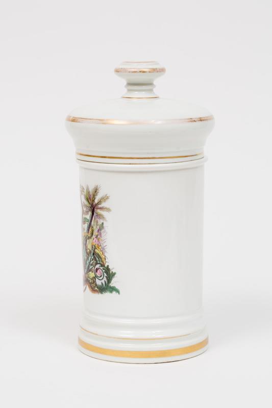  Cr�ditos: Thales Leite