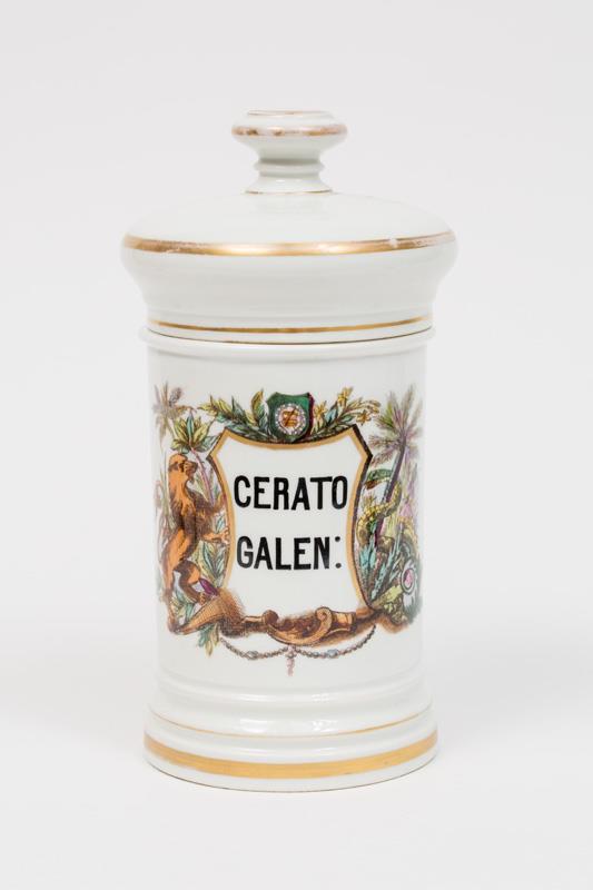  Cr�ditos: Thales Leite