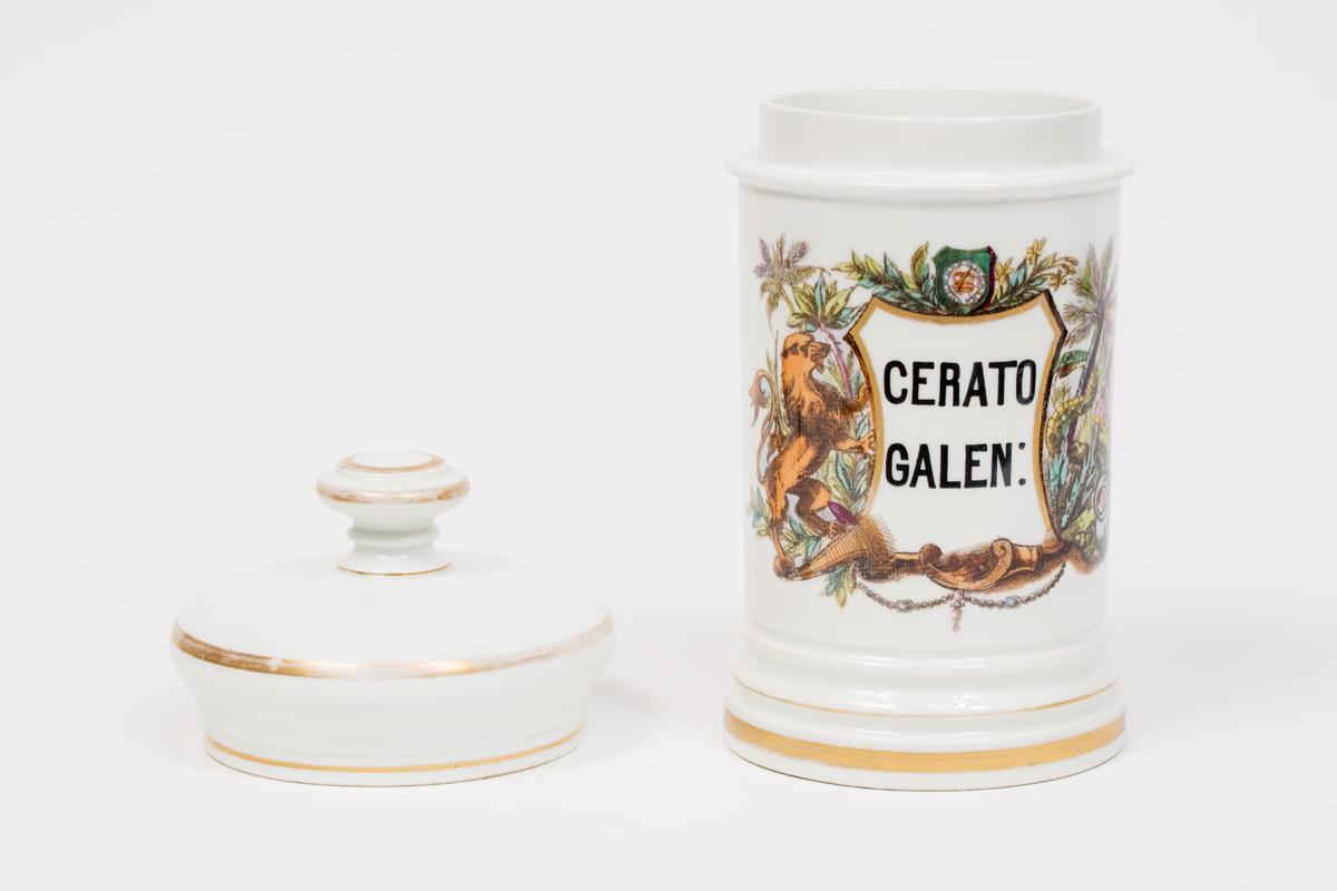  Cr�ditos: Thales Leite