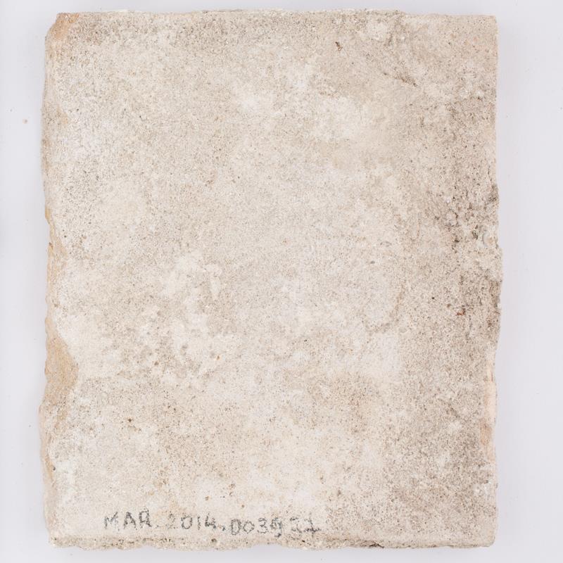  Cr�ditos: Thales Leite