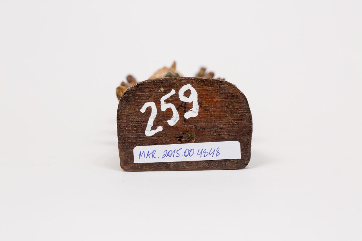  Cr�ditos: Thales Leite