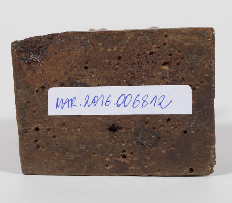  Cr�ditos: Thales Leite