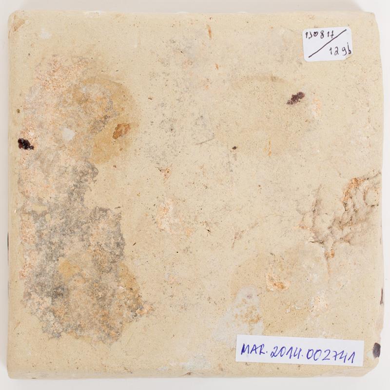  Cr�ditos: Thales Leite