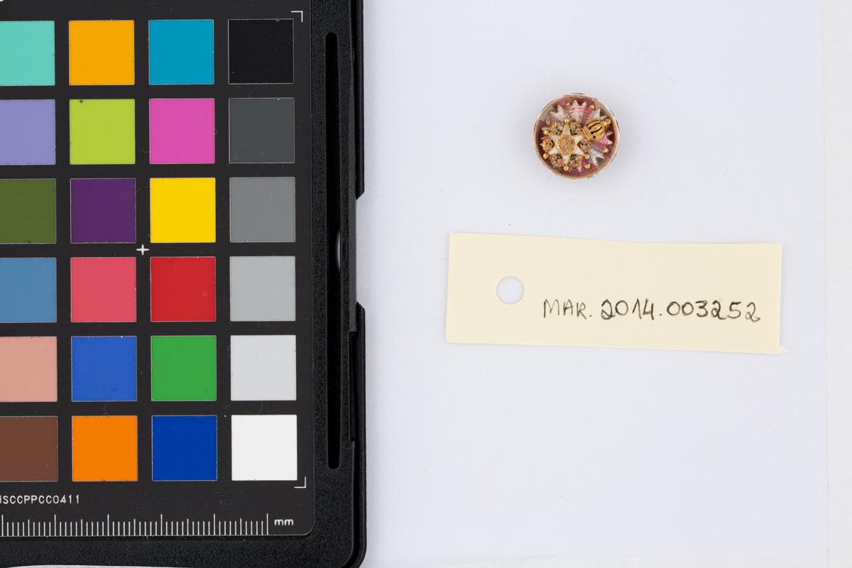  Cr�ditos: Thales Leite